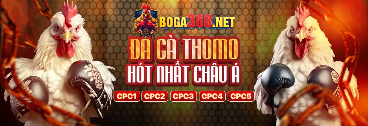 Hình ảnh đại diện cho Điều khoản và Điều kiện Spobet Link Mới